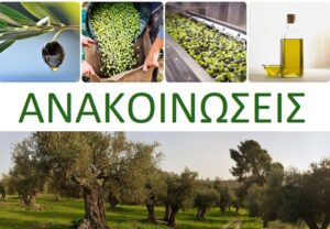 Read more about the article Εκπαιδευτική Ημερίδα